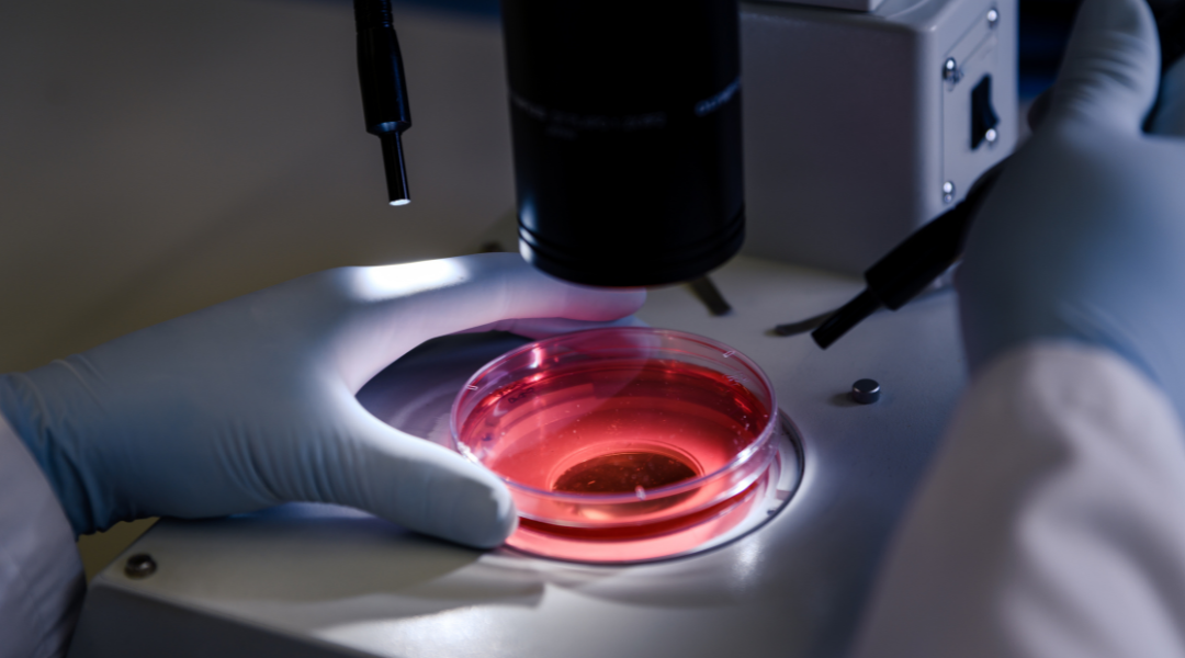 Что такое цитология