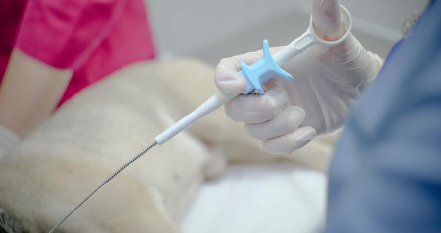 Пайпель-биопсия и выскабливание полости матки